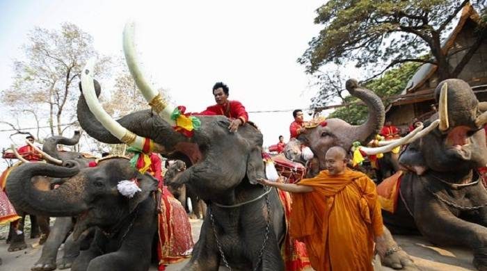 Всемирный день защиты слонов и День носорога отметят в мире 22 сентября 2022 года itemprop=