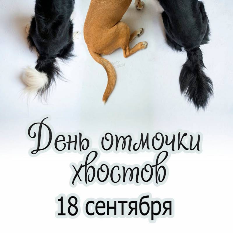 день отмочки хвостов что это. Смотреть фото день отмочки хвостов что это. Смотреть картинку день отмочки хвостов что это. Картинка про день отмочки хвостов что это. Фото день отмочки хвостов что это