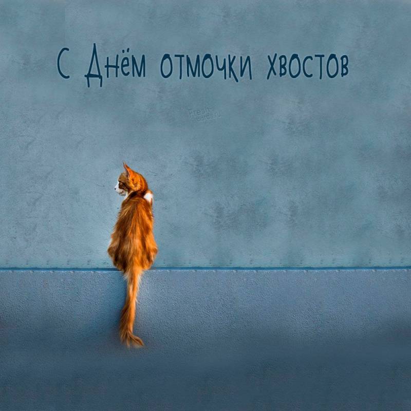 день отмочки хвостов что это. Смотреть фото день отмочки хвостов что это. Смотреть картинку день отмочки хвостов что это. Картинка про день отмочки хвостов что это. Фото день отмочки хвостов что это