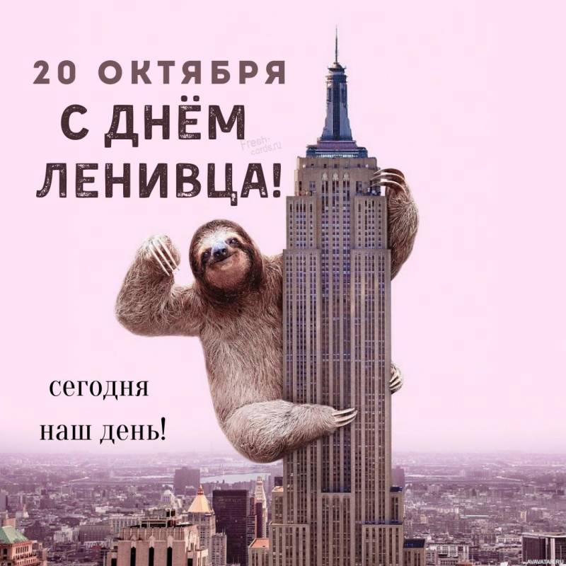 Международный день ленивца: открытки, поздравления