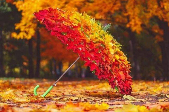 Праздник День собирания осенних листьев
