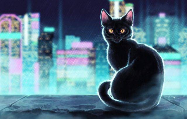 Суеверия, связанные с черными котами