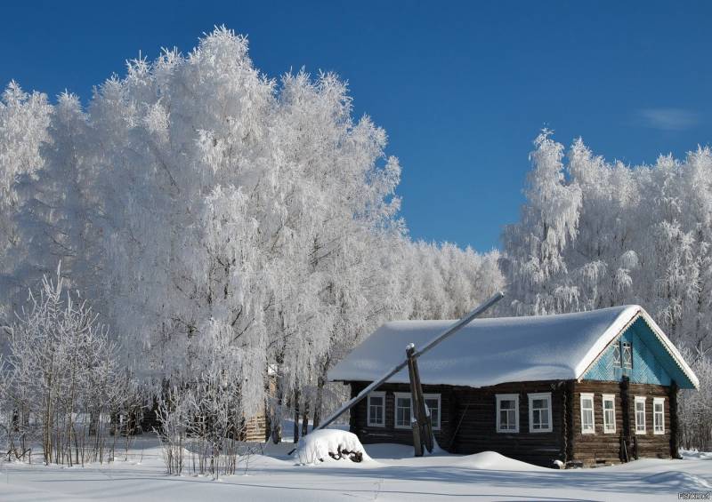 1 декабря: первый день зимы