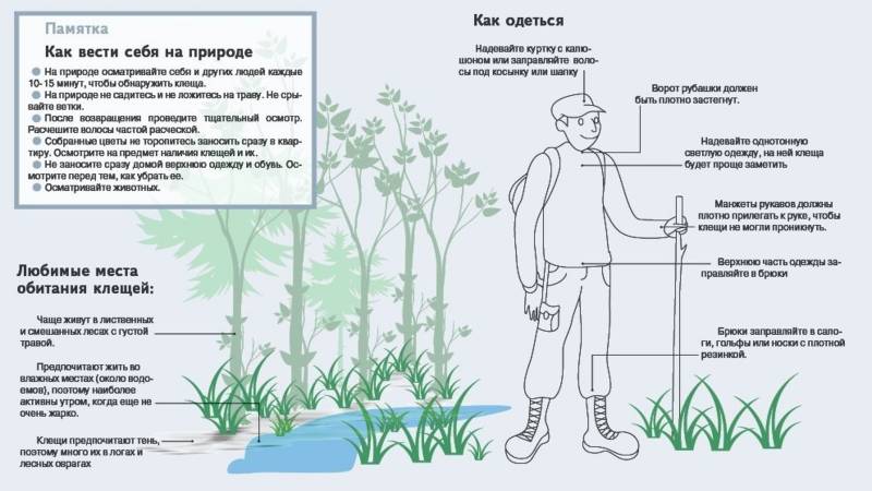 Как защититься от клещей