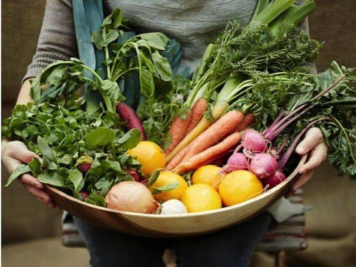 Как вырастить овощи без нитратов