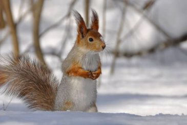 Какой сегодня праздник: 5 февраля отмечается несколько важных торжеств