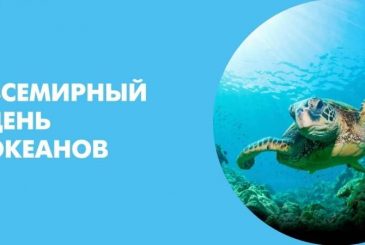 Ежегодно 8 июня отмечают Всемирный день океанов
