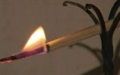 Евлампий Зимоуказатель в этом году отмечают 23 октября