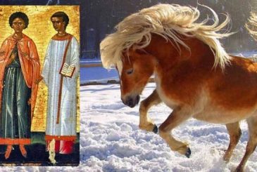В праздник Гурьев день 28 ноября с особым трепетом относятся к лошадям