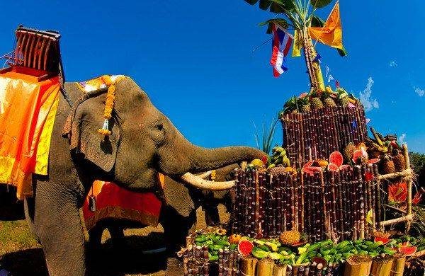 Национальный день тайского слона отмечают в Таиланде 13 марта 2024 года