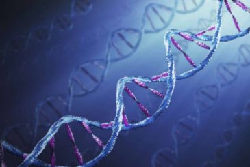 Международный День ДНК отмечают 25 апреля в честь открытия спиральной модели молекулы