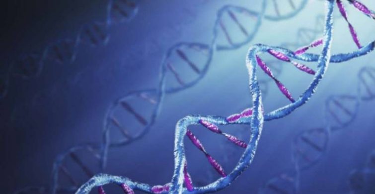 Международный День ДНК отмечают 25 апреля в честь открытия спиральной модели молекулы itemprop=