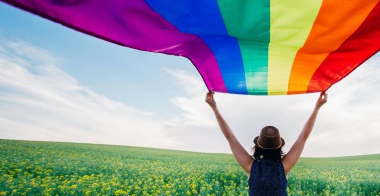 Международный день борьбы с гомофобией отметят 17 мая 2023 года