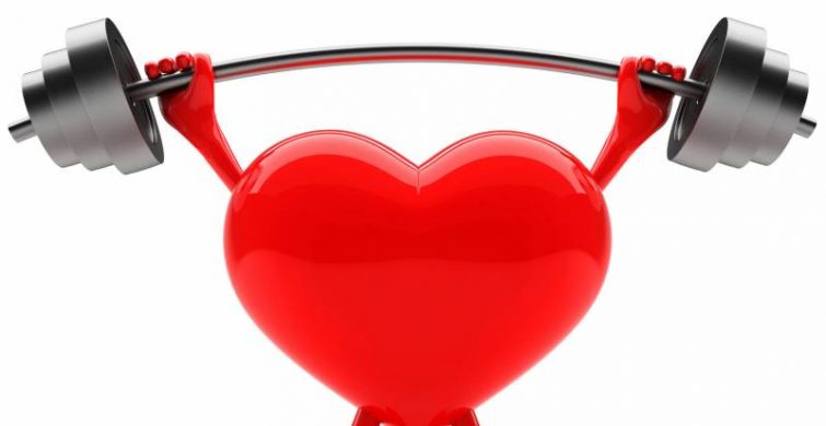 Всемирный день сердца пройдет 29 сентября 2023 года, ключевая цель данного праздника предотвратить болезнь