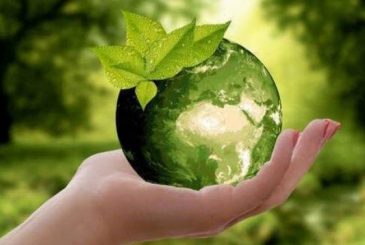 День эколога во всем мире отмечают 5 июня 2023 года