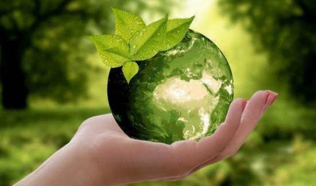 День эколога во всем мире отмечают 5 июня 2023 года itemprop=