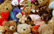 Какой праздник отмечают 27 октября: День плюшевого медведя и День аудиовизуального наследия