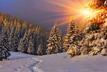 Гифки с 1 декабря 2023 года первым днем зимы: поднять настроение можно красивым, снежным поздравлением