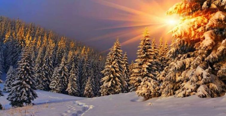 Гифки с 1 декабря 2022 года первым днем зимы: поднять настроение можно красивым, снежным поздравлением itemprop=