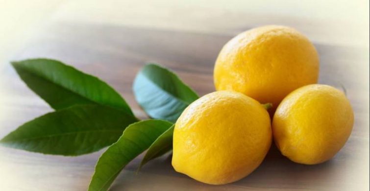 Чудеса, да и только: лимон – лучшее средство для замены натуральных косметических средств itemprop=