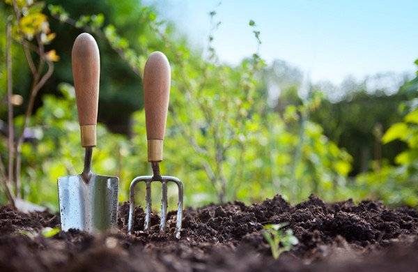 Календарь посева семян на рассаду и садово-огородные работы в апреле 2023 года itemprop=