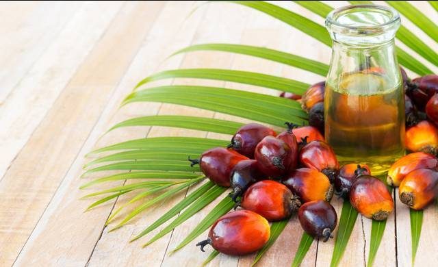 Как обозначается пальмовое масло в продуктах и как его определить самостоятельно itemprop=