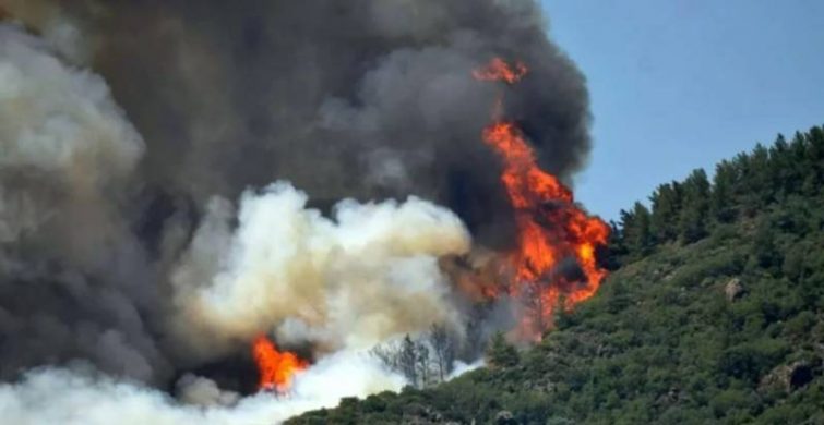 Мармарис, Анталья и Сид в объятьях огня и пепла, последние новости о пожарах в Турции на сейчас itemprop=