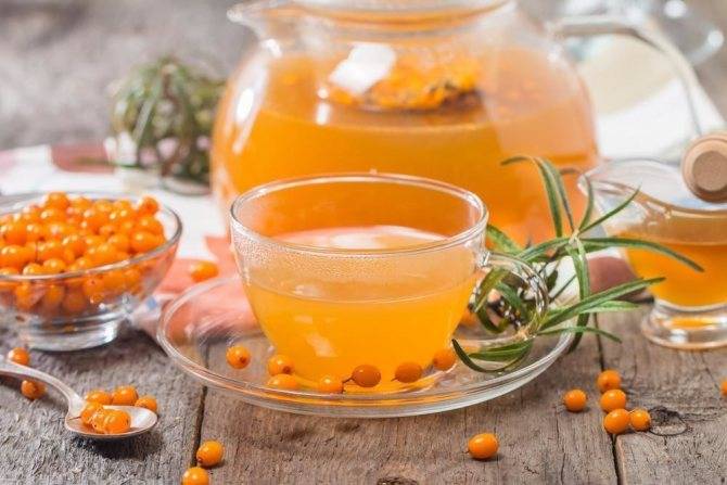 Чай с облепихой - как приготовить вкусный напиток в домашних условиях