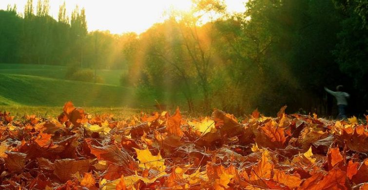 День вдыхания осеннего воздуха 11 октября 2022 года: что означает этот необычный праздник itemprop=