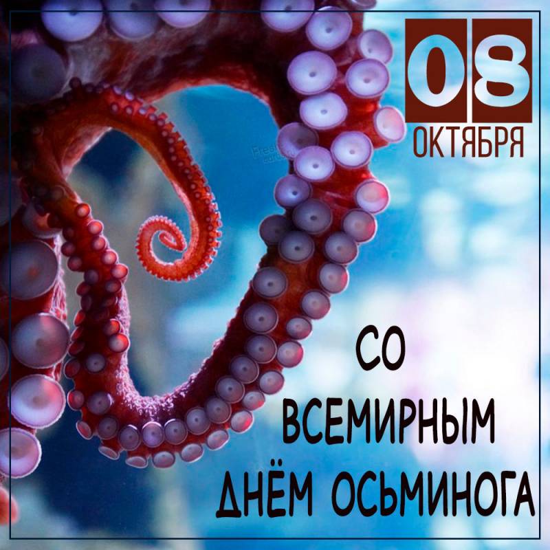 Открытки с днем осьминога