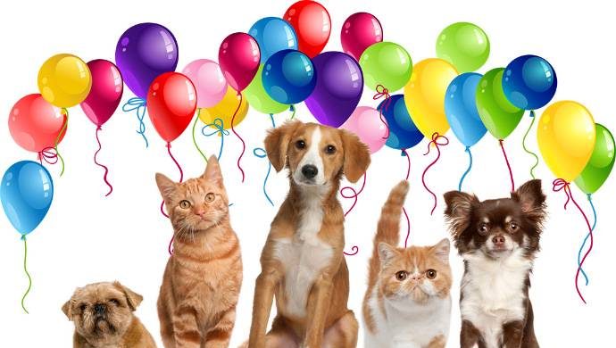 Всемирный день домашних животных празднуют 30 ноября itemprop=