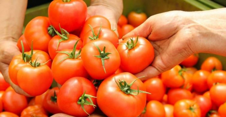 Что сделать, чтобы помидоры были сладкими: советы по выращиванию itemprop=