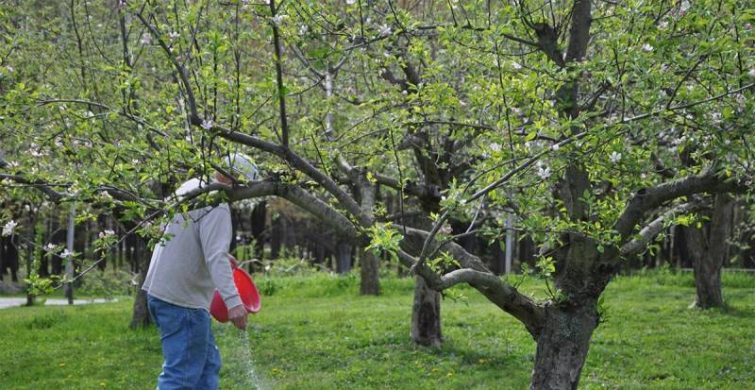 Лунный посевной календарь на 11 июня 2022 года: садовода и огородника — цветовода itemprop=