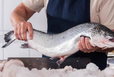 Питание и здоровье: Важность морепродуктов и круп после 50