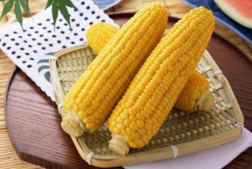 Процесс заморозки кукурузы на зиму: что делать в домашних условиях