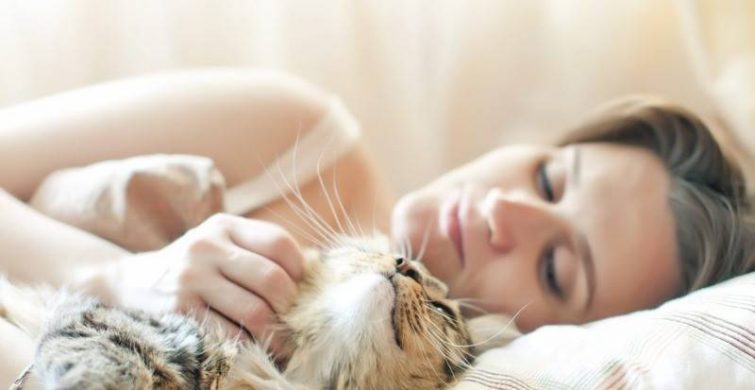 Почему кошка на самом деле спит рядом с человеком: 5 причин и «темные» приметы
