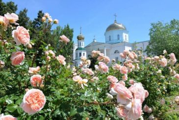 Отдание Святой Троицы и день Никиты Гусятника 10 июня: что можно и нельзя делать в эту дату