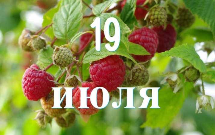 19 июля