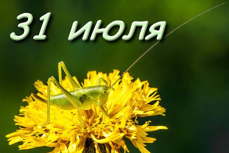 31 июля