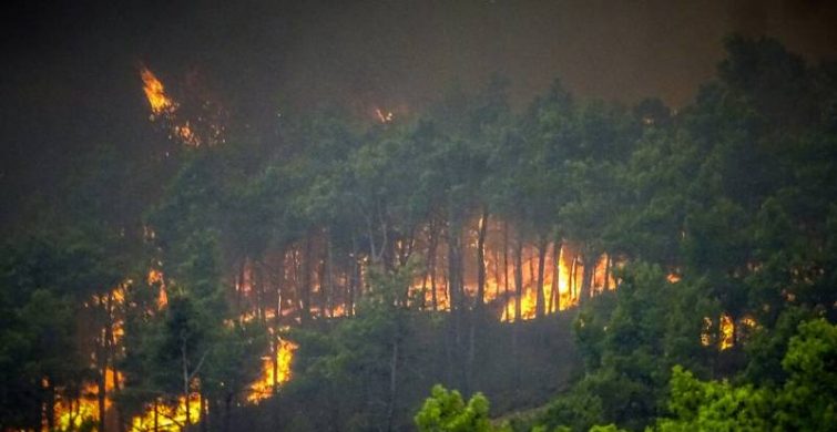 Туристов предупредили об опасных районах Турции и Греции, где «разгулялись» пожары