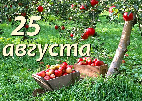 Значимые события 25 августа 2025 года: простые и церковные праздники