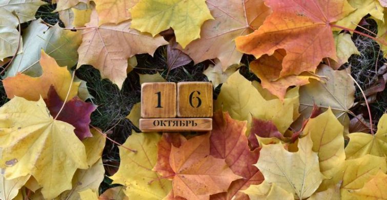 Какие праздники, простые и церковные, отмечают сегодня, 16 октября 2023 года