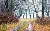 Важные дела и строгие запреты в народный праздник 13 октября 2025 года