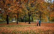 Традиции, обычаи и запреты в народно-христианский праздник 28 октября 2025 года