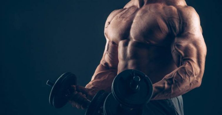 Супернакачка мышц — что такое принцип пампинга в тренировках