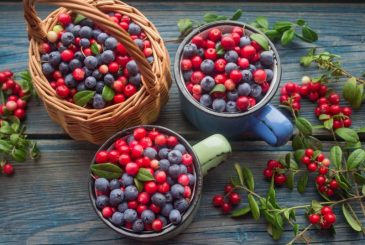 ТОП-5 полезных ягод для укрепления мужского здоровья: от голубики до клюквы