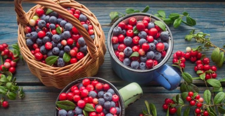 ТОП-5 полезных ягод для укрепления мужского здоровья: от голубики до клюквы itemprop=