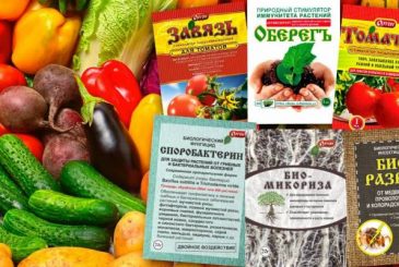Рейтинг универсальных органических удобрений: какое выбрать для сада и огорода новичку?