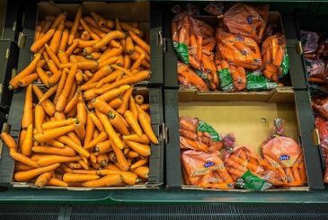 Морковь и свекла: когда убирать и как хранить, чтобы сохранить свежесть
