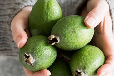 Фейхоа и йод: кто должен добавить этот фрукт в свой рацион?